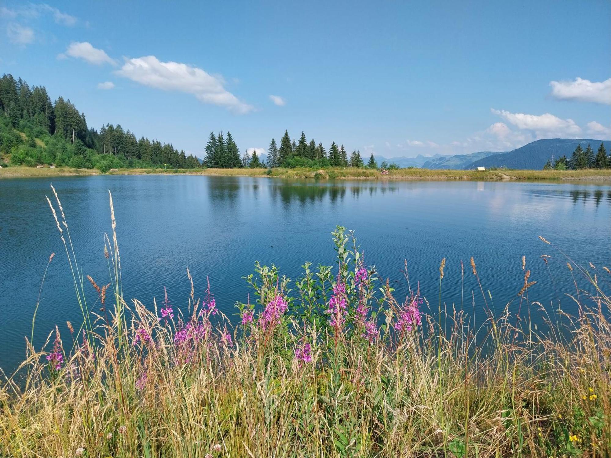 Landhaus Tirol Хопфгартен-им-Бриксенталь Экстерьер фото